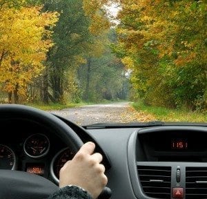 Driving in fall